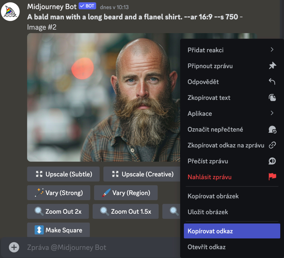 group1 Copy image from upscaled version, Midjourney.